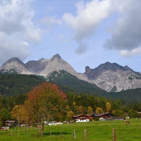 Appartement Herzog Saalfelden Dış mekan fotoğraf